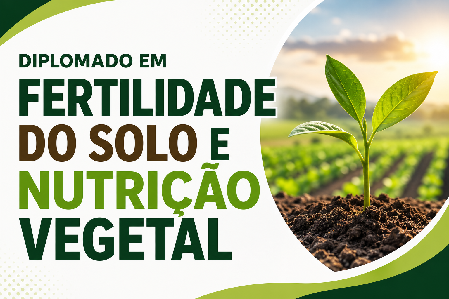Diplomado em Fertilidade do Solo e Nutrição Vegetal