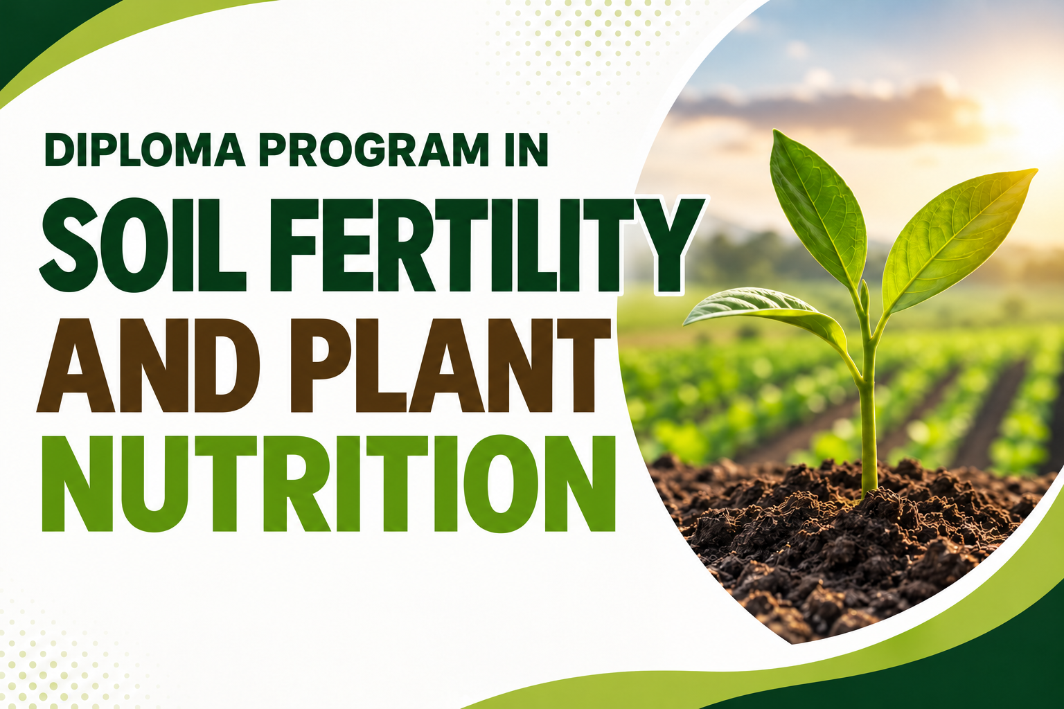 Diploma Program in Soil Fertility and Plant Nutrition